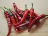 Cayenne Pepper Explained – What is it and How Does it Work?