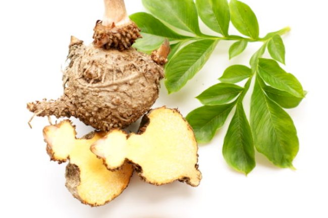 Glucomannan Explained – What is it and How Does it Work