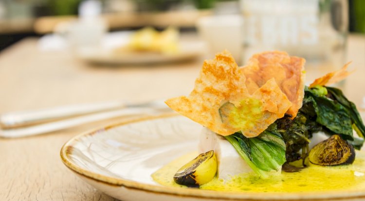 Try These 4 High-Protein, Low-Carb Vegetarian Meals in the New Year